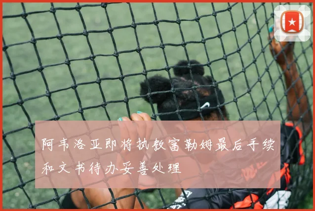 阿韦洛亚即将执教富勒姆最后手续和文书待办妥善处理